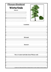 Pflanzensteckbrief-Winterlinde.pdf